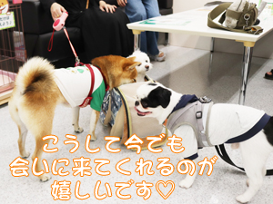 卒業生が愛犬と遊びに来てくれました♪